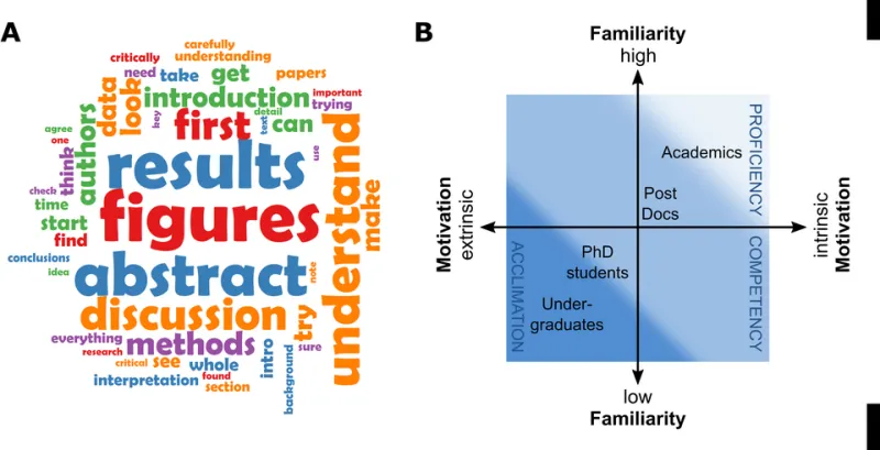 Turning Rejection Into Acceptance: A Scholar's Framework for Interpreting Peer Review and Revising With Purpose