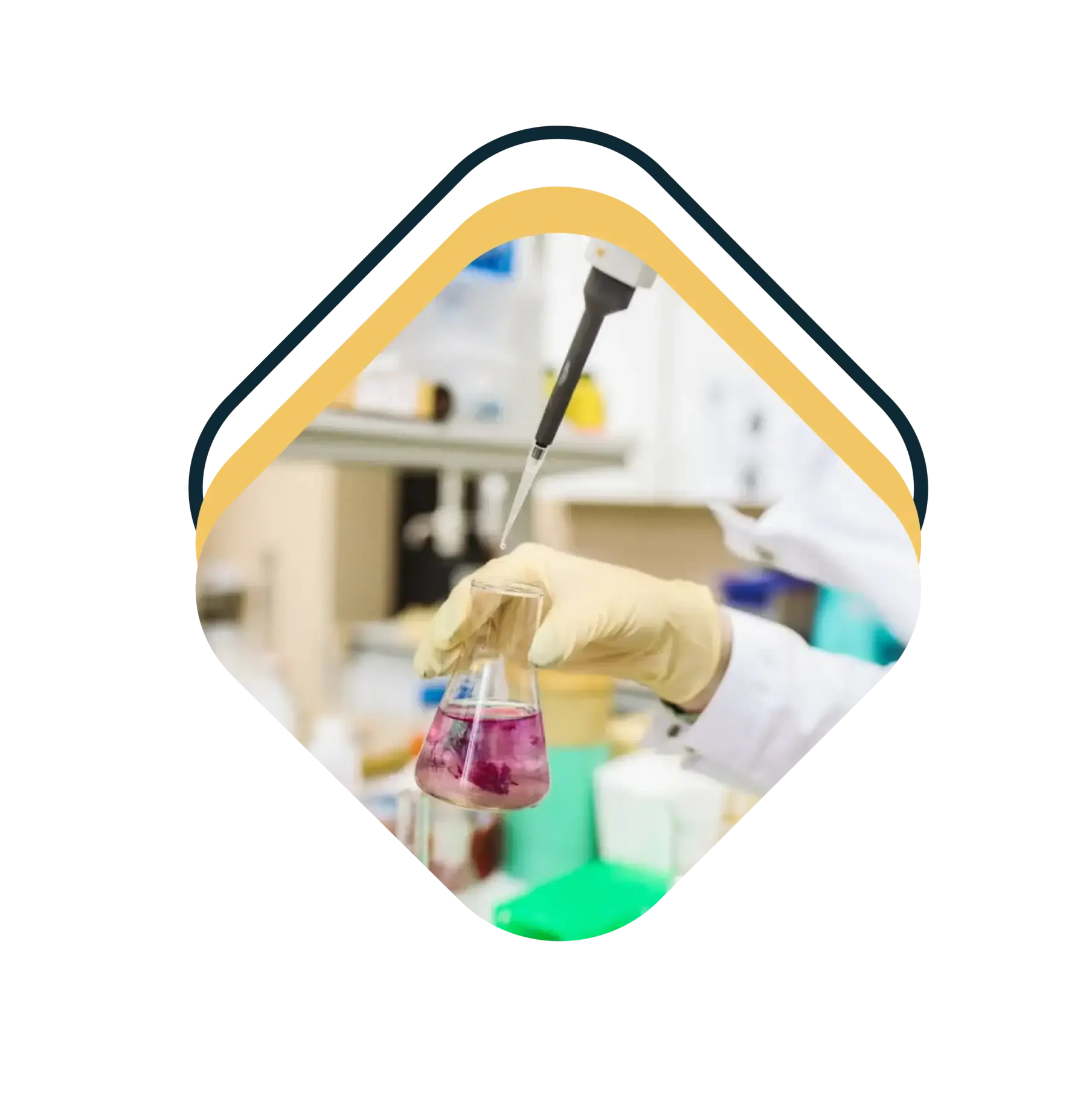 scientific journal publicaiton